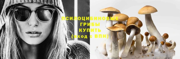 прущая мука Заводоуковск